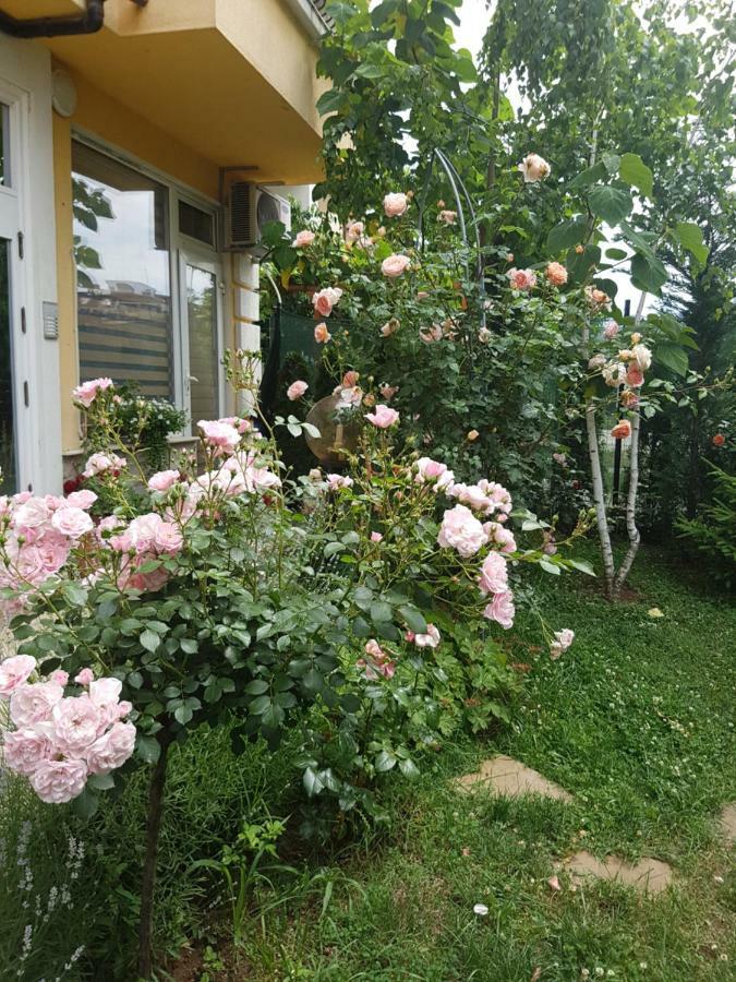 Guesthouse Zanier Nesebar Exterior photo