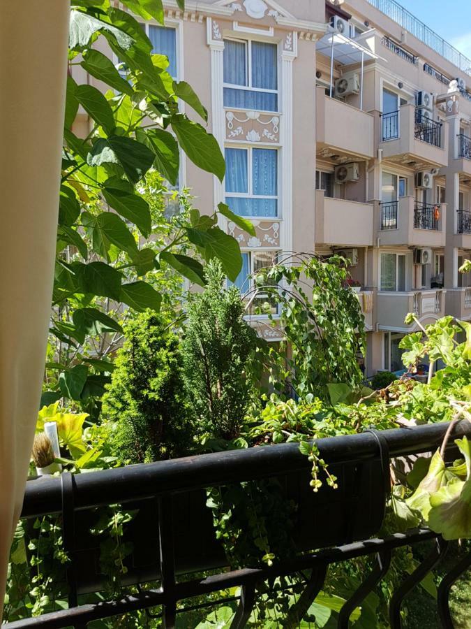 Guesthouse Zanier Nesebar Exterior photo